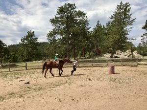 Guests participate in arena games