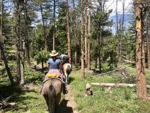 Dude ranch summer 2019 adventure vacation all-inclusive pet friendly guest ranch