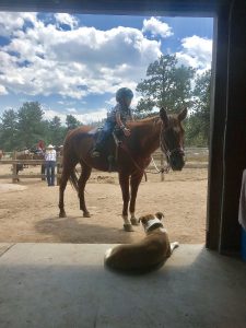 Family adventure dude ranch vacation Dude ranch summer 2019 adventure vacation all-inclusive pet friendly guest ranch