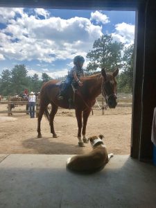 Dude ranch summer 2019 adventure vacation all-inclusive pet friendly guest ranch