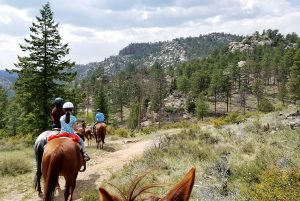Fort Collins Horseback Riding