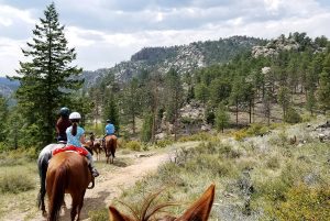 Fort Collins Horseback Trail Riding