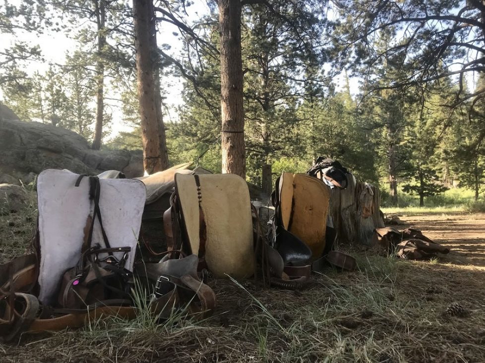 Dude ranch summer 2019 adventure vacation all-inclusive pet friendly guest ranch