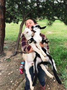 Dude ranch adventure vacation all-inclusive pet friendly guest ranch