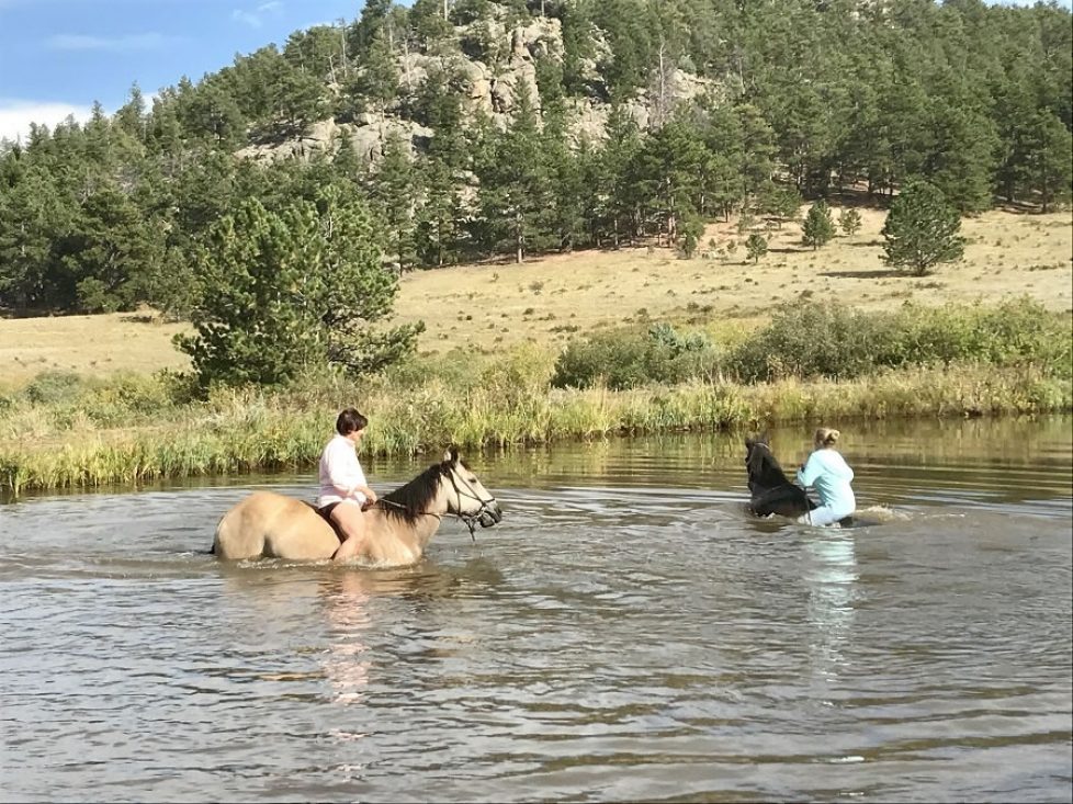 Dude ranch summer 2019 adventure vacation all-inclusive pet friendly guest ranch