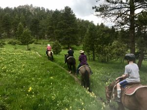 A wrangler leads a trail ride