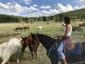 Dude ranch summer adventure vacation all-inclusive pet friendly guest ranch