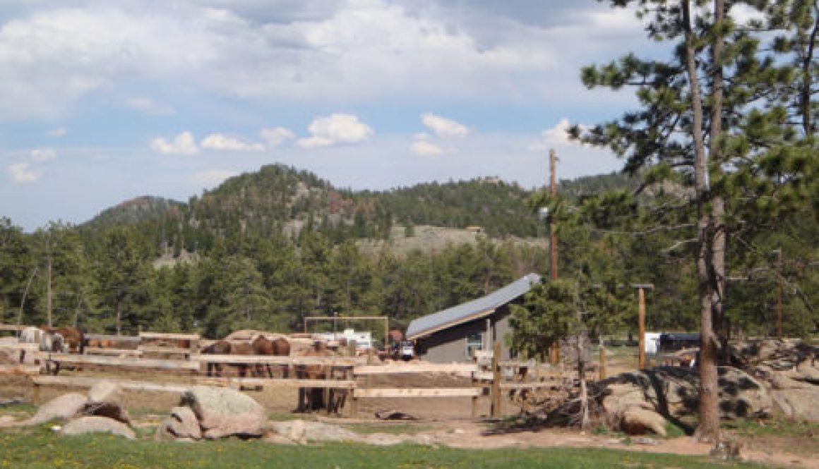 colorado family dude ranch adventure vacation affordable