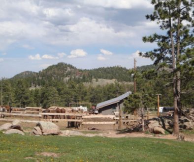 colorado family dude ranch adventure vacation affordable