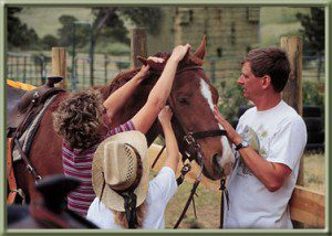 Family Reunion Colorado Dude Ranch Vacation