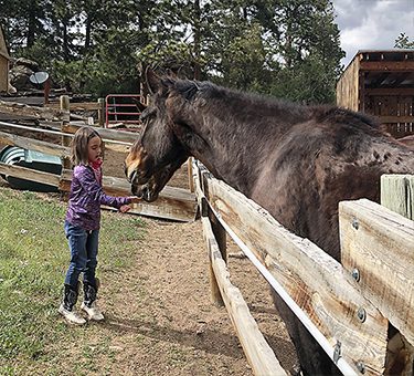 A little girl gives Montee the horse a treat.