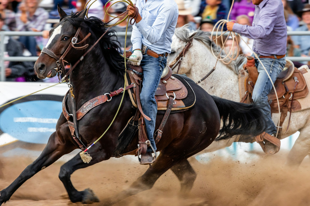 joshua-sukoff-colorado-rodeo