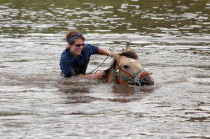 Guest takes a horse for a swim in the pond