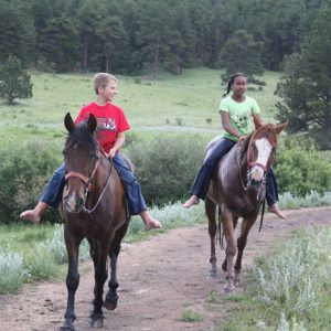 Horseback and trail riding lessons near Fort Collins