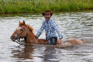 Taking the horses for a swim