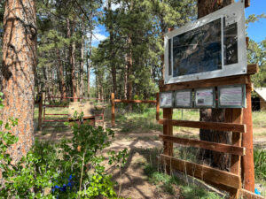 sundance trail disc golf start