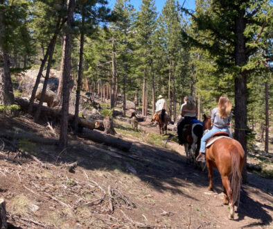 trail riding