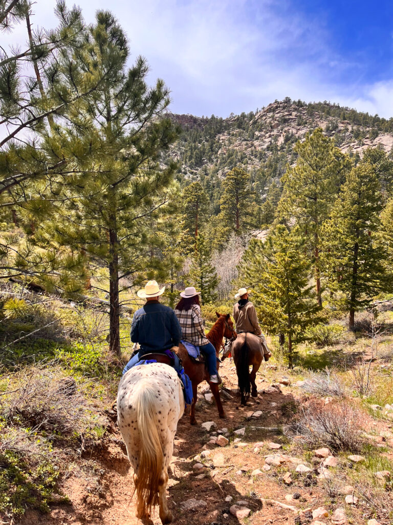 trail riding under a blue sky